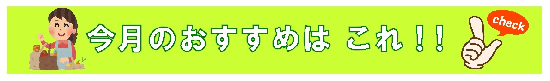 店長のおすすめ